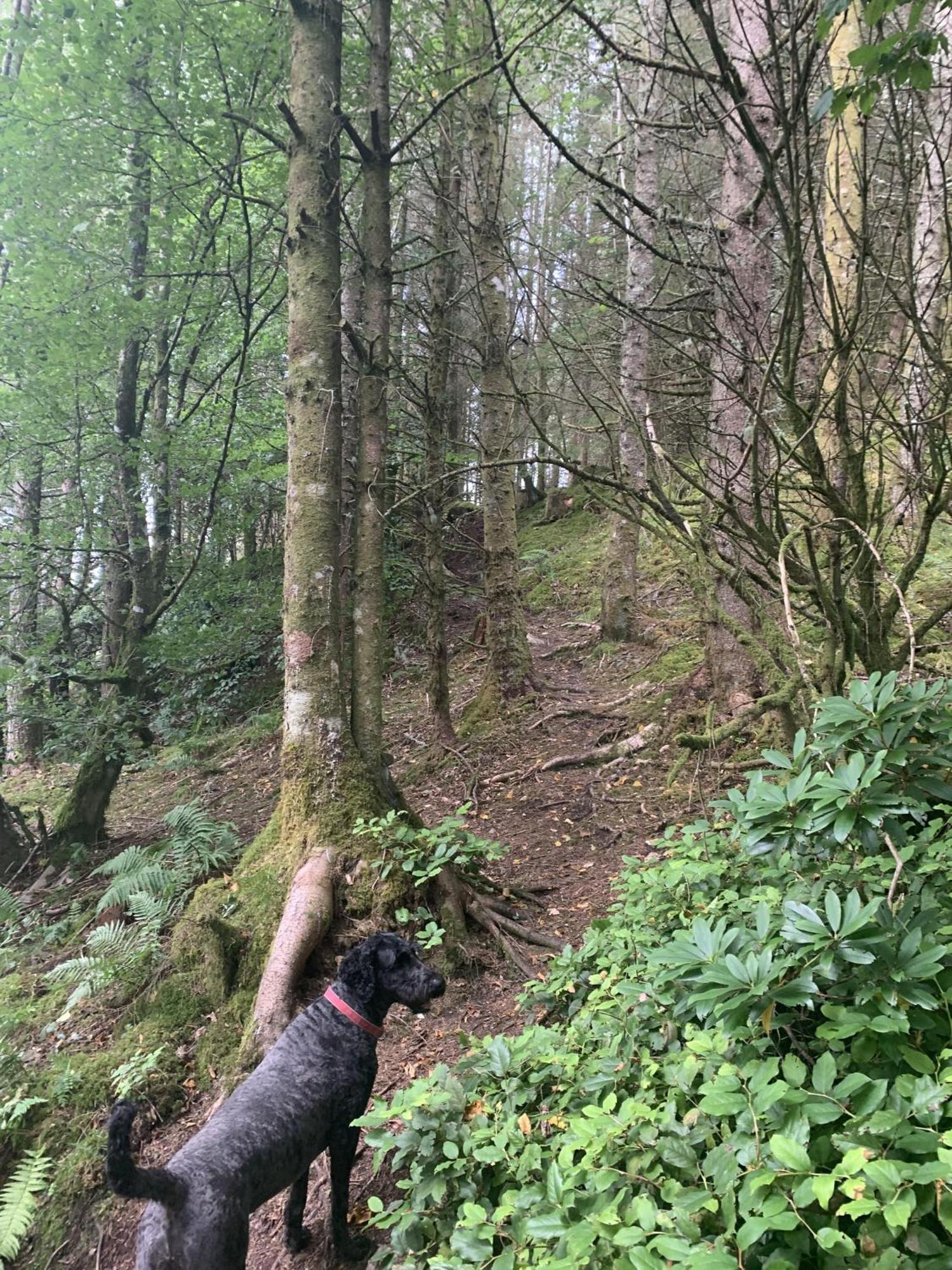 奥本Tawny Owl Pod With Hot Tub别墅 外观 照片